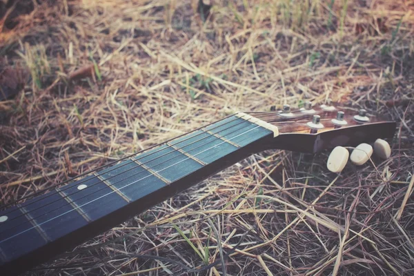 Guitarra sobre hierba seca —  Fotos de Stock