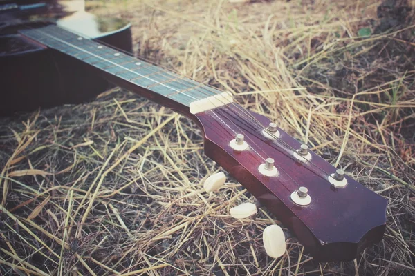 Guitar on dried grass — Stock Photo, Image
