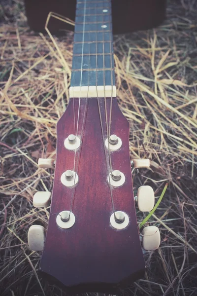 Guitar on dried grass — Stock Photo, Image