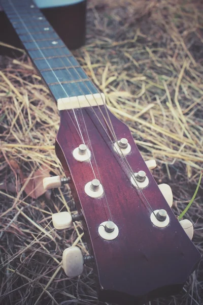 Guitar on dried grass — Stock Photo, Image