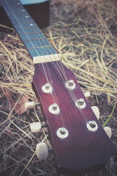 Guitarra sobre hierba seca —  Fotos de Stock