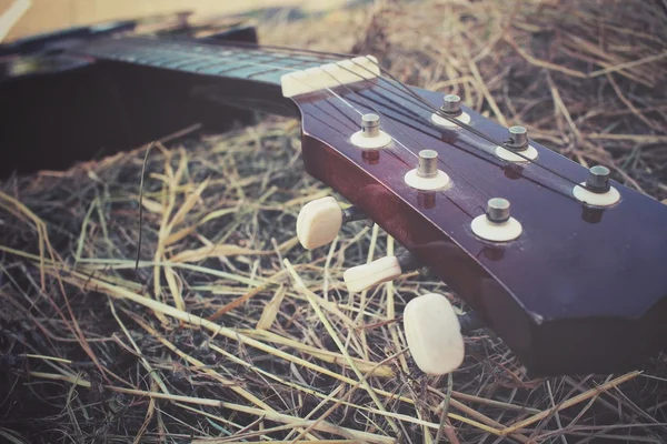 Gitarr på torkat gräs — Stockfoto