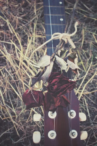 Κιθάρα με αποξηραμένα τριαντάφυλλο — Φωτογραφία Αρχείου