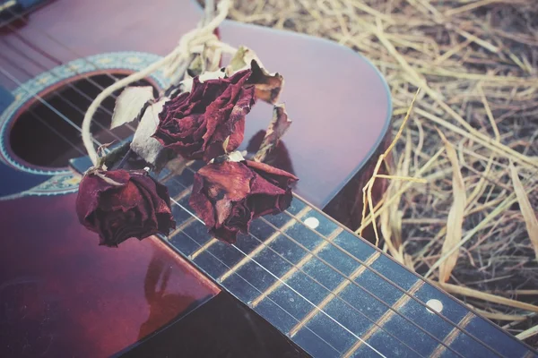 Guitarra con rosa seca —  Fotos de Stock