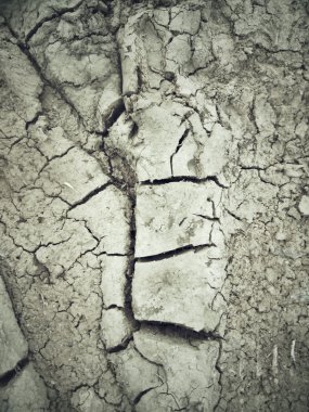 Kuru toprak kırık
