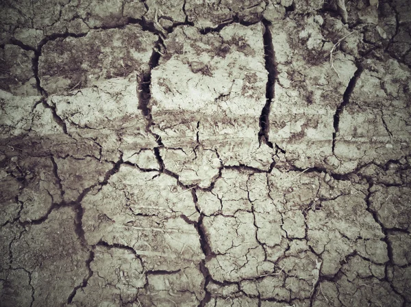 Cracked dry soil — Stock Photo, Image