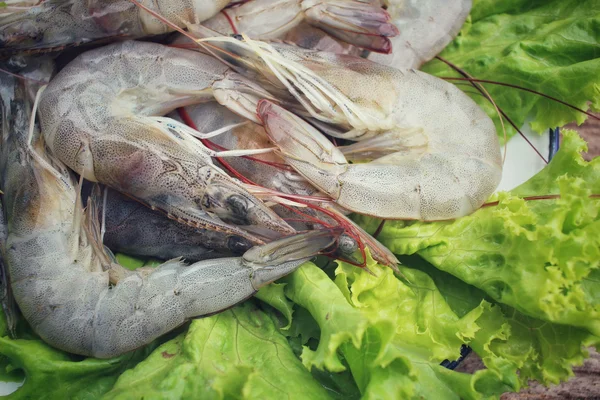 신선한 새우 — 스톡 사진