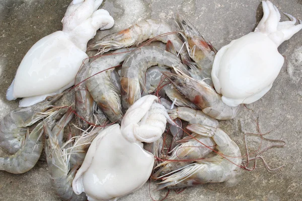 Frische Garnelen und Tintenfische — Stockfoto