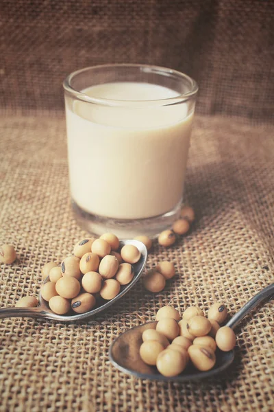 Latte di soia con fagioli — Foto Stock