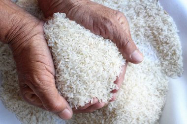 Çiğ pirinç tahıl elle