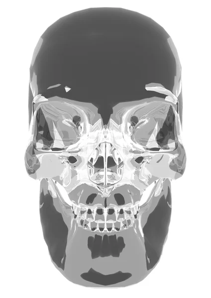 Crânio de cristal renderizado 3d — Fotografia de Stock