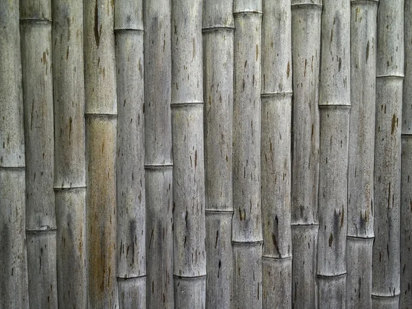 Velho áspero textura japonês bambu — Fotografia de Stock