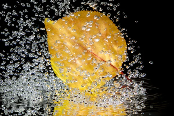 秋叶在水里 — 图库照片