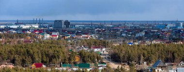 Gündüz Yakutsk 'un panoramik manzarası ormanla kaplı.