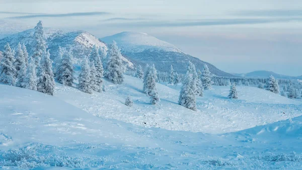 Piękny Widok Panoramiczny Ośnieżone Góry Panorama Zimowych Gór Krajobrazie Najzimniejszego — Zdjęcie stockowe