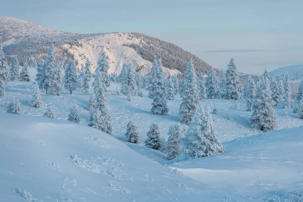 Poranny Krajobraz Ośnieżonych Gór Drzewa Pokryte Śniegiem Słoneczny Dzień Jasnym — Zdjęcie stockowe
