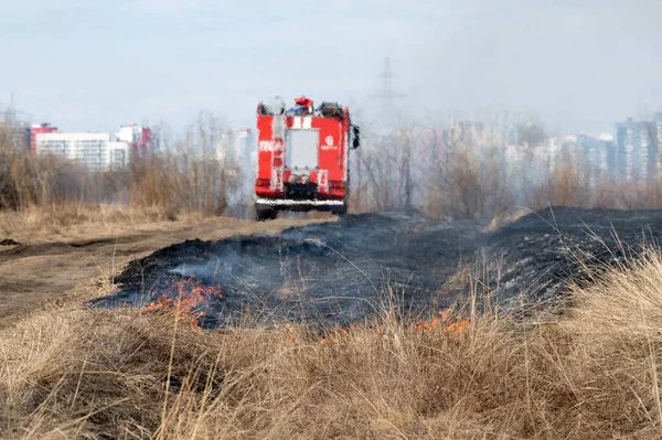 Burning vegetation in the meadows under the control of the fire department near the city