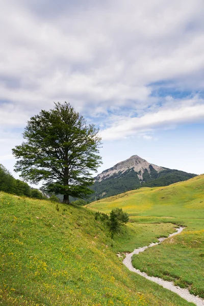 Zuriza's Valley — Stock Photo, Image