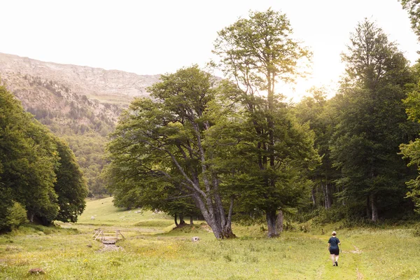 Woman walking in Zuriza's Valley — Stock Photo, Image