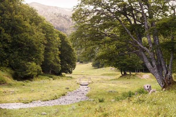 Zuriza's Valley — Zdjęcie stockowe