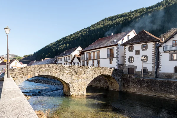 Ochagavia river and village — Stock Photo, Image