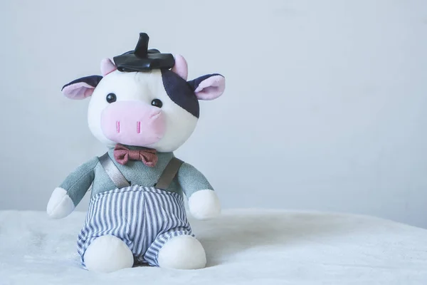 Cute cow- symbol of the new year 2021. Soft toy Copy space