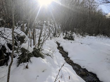 Kar manzara kış (İspanya).