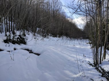 Kar manzara kış (İspanya).