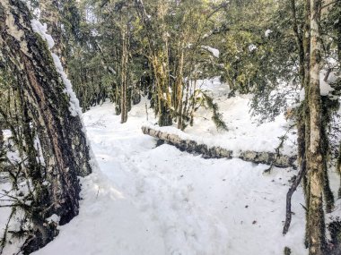 Kar manzara kış (İspanya).