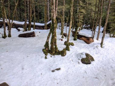 Kar manzara kış (İspanya).