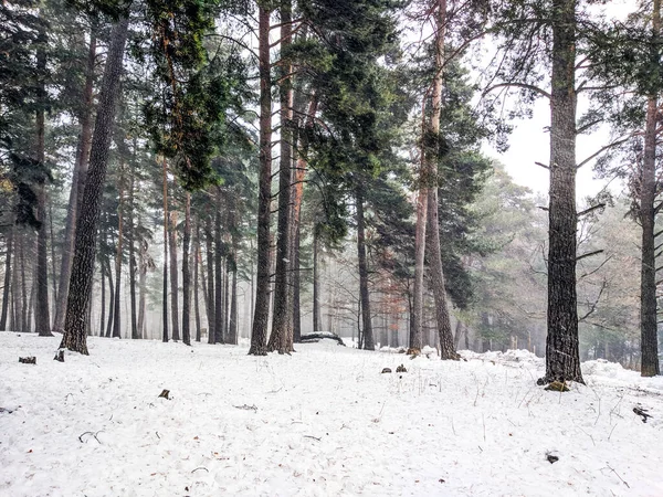 Snow Landscape Winter Spain — Stock Photo, Image