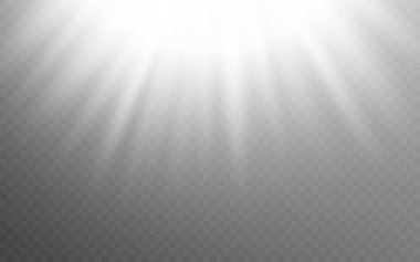 Şeffaf arkaplanda beyaz ışıklar. Beyaz soyut aydınlatma efekti. Parlak kirişli gerçekçi bir sabah ışığı şablonu. Güneş ışığı ya da güneş ışığı. Vektör illüstrasyonu