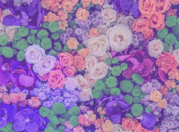 Fond de fleurs colorées de rose, chrysanthème, œillet et — Photo