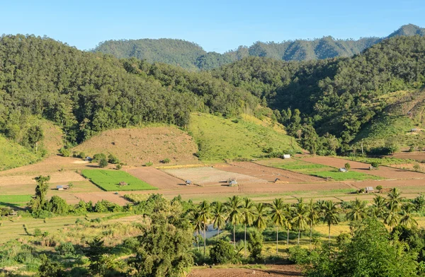 Countryside farming in the mountain valley, Thailand — Stock Photo, Image