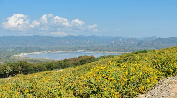 Nature landscape of reservoir in valley with flower blooming — Stock Photo, Image