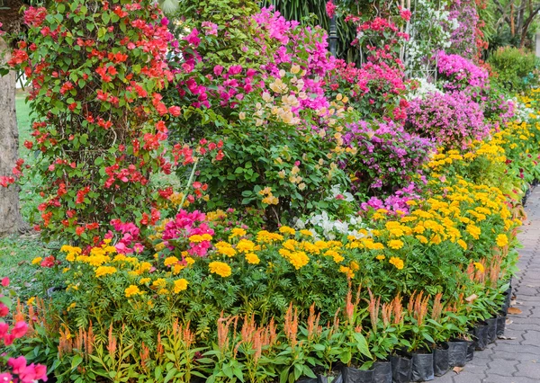 Jardim de flores decorado colorido — Fotografia de Stock