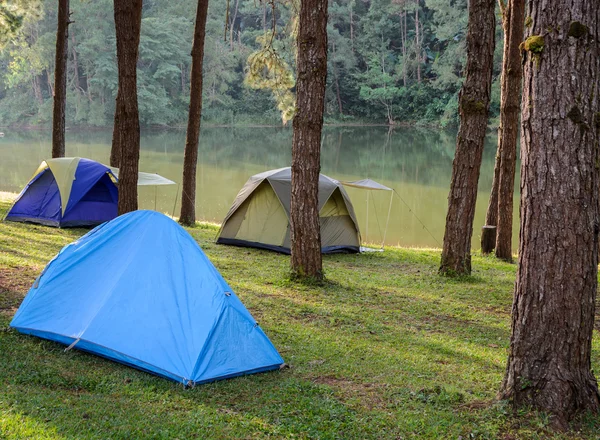 Pokaż Camping Namioty, w pobliżu jeziora rano — Zdjęcie stockowe