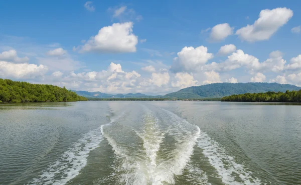 Forêt de mangroves dans le parc national de Phang Nga Bay, Thaïlande — Photo