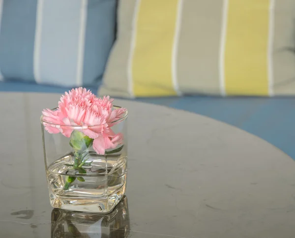 Pink carnation glass vase on table — Stock Photo, Image