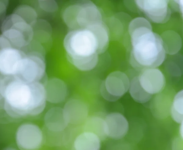 Bokeh abstrakt von defokussierten grünen Naturlichtern — Stockfoto