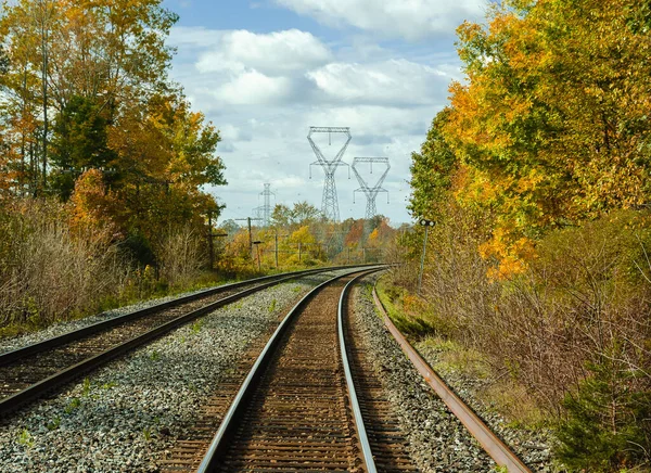 Σιδηροδρομικές Γραμμές Μεταξύ Των Κιτρινισμένων Δέντρων Την Ημέρα Φθινοπωρινή Σεζόν — Φωτογραφία Αρχείου