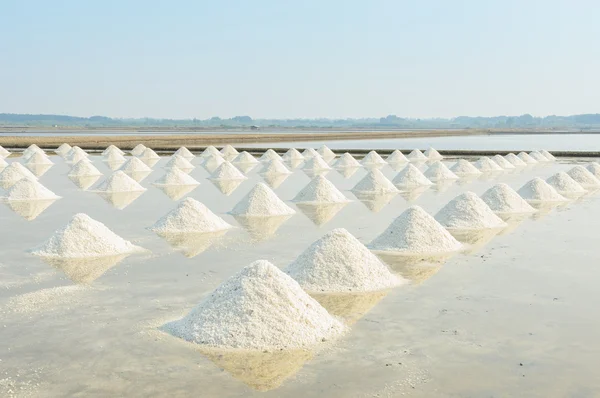 Heap of sea salt — Stock Photo, Image