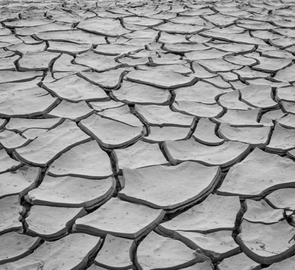 Droogte land achtergrond — Stockfoto