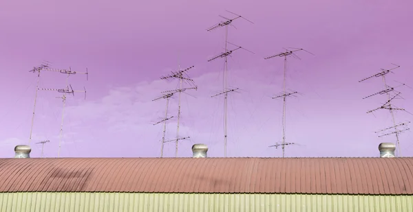 TV-antenner på taket — Stockfoto