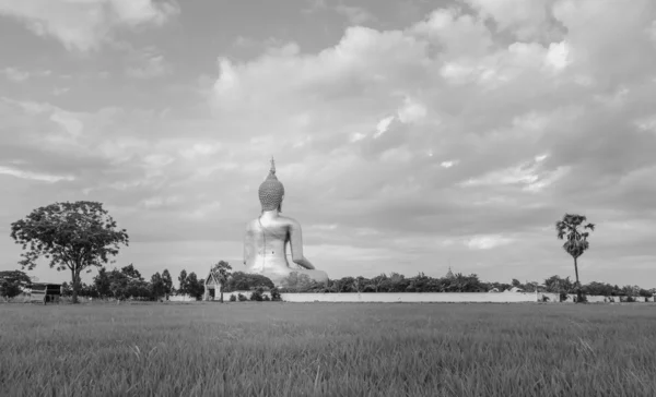 Velký buddha z Thajska — Stock fotografie