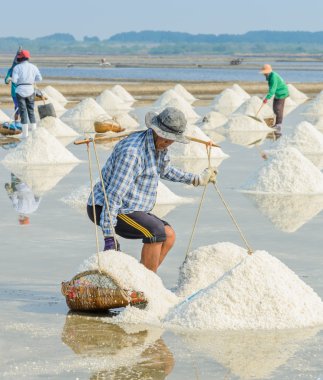 Sea salt harvesting in Thailand clipart