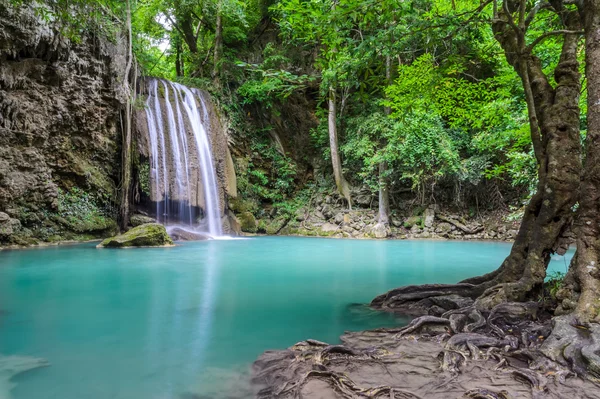 Beautiful deep forest waterfall — Stock Photo, Image