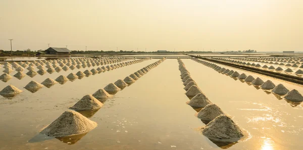 Câmp de sare de mare la apus — Fotografie, imagine de stoc