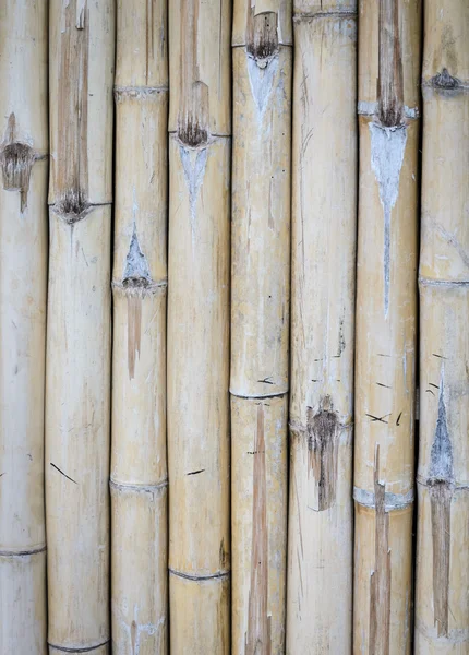 Bamboe muur achtergrond — Stockfoto