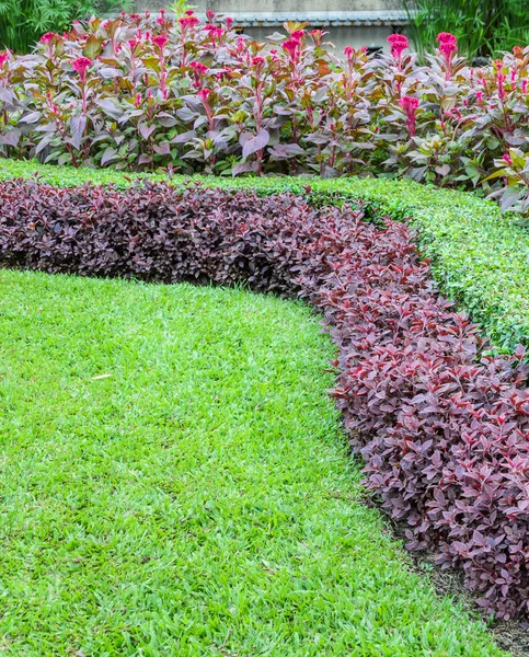 Decorado jardim canteiro de flores — Fotografia de Stock